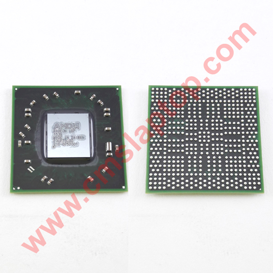 AMD IGP 216-0752001